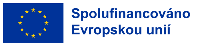 Co-funded by the European Union