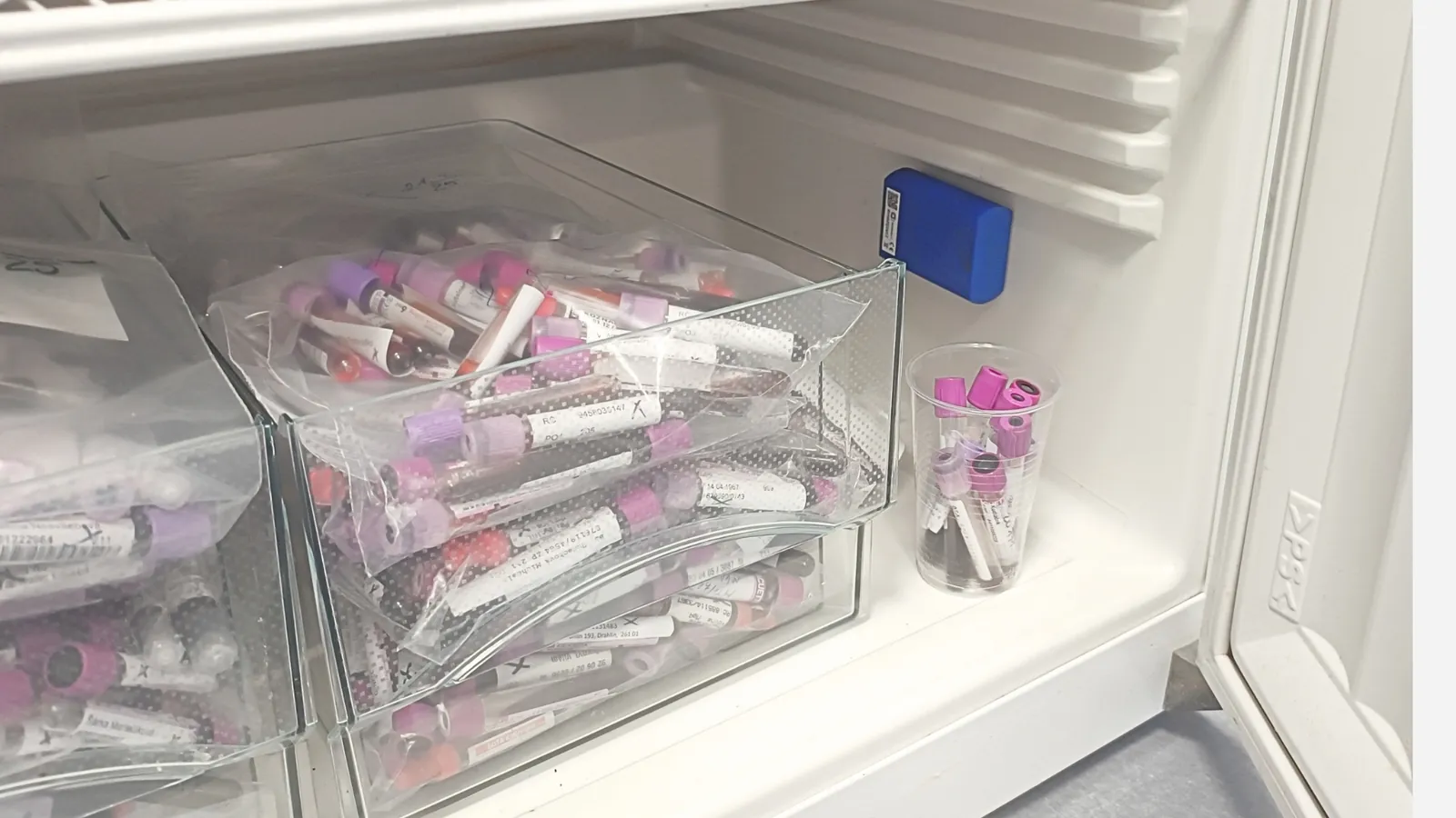 ColdSense at a chilled store of medicines and laboratory samples